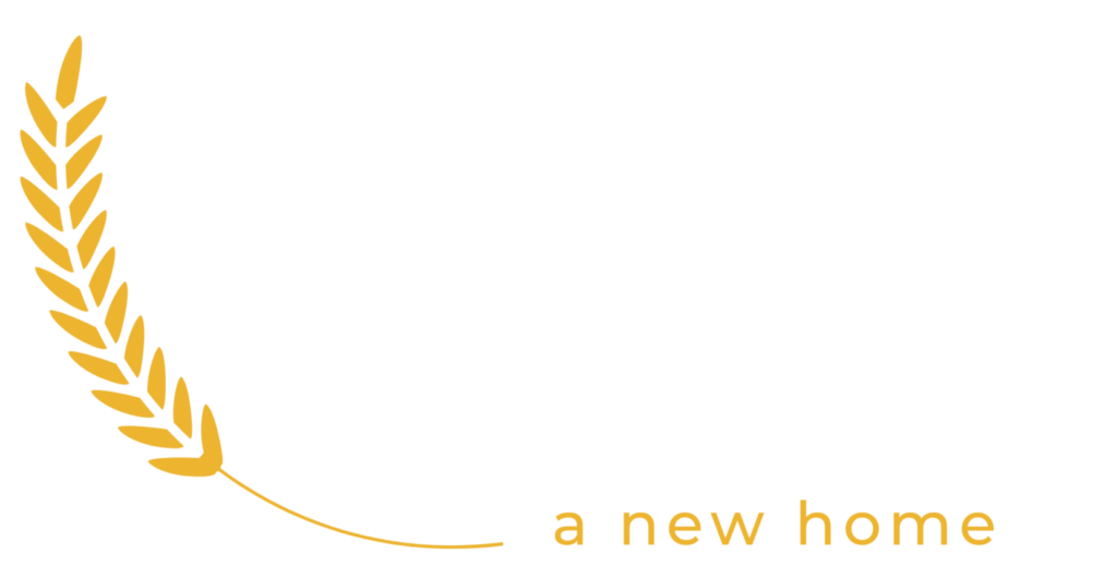 Oasis
